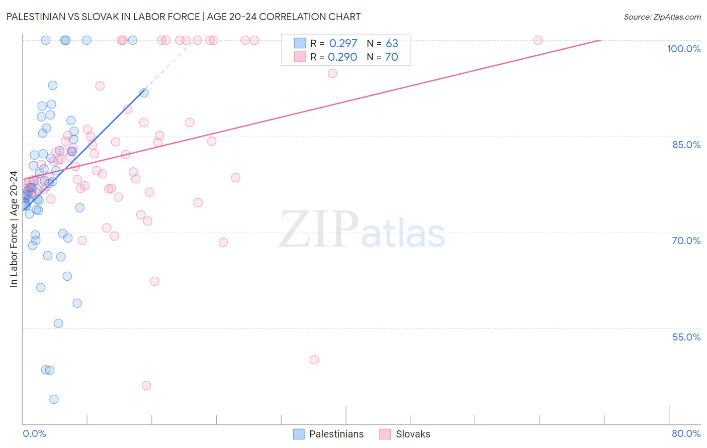 Palestinian vs Slovak In Labor Force | Age 20-24