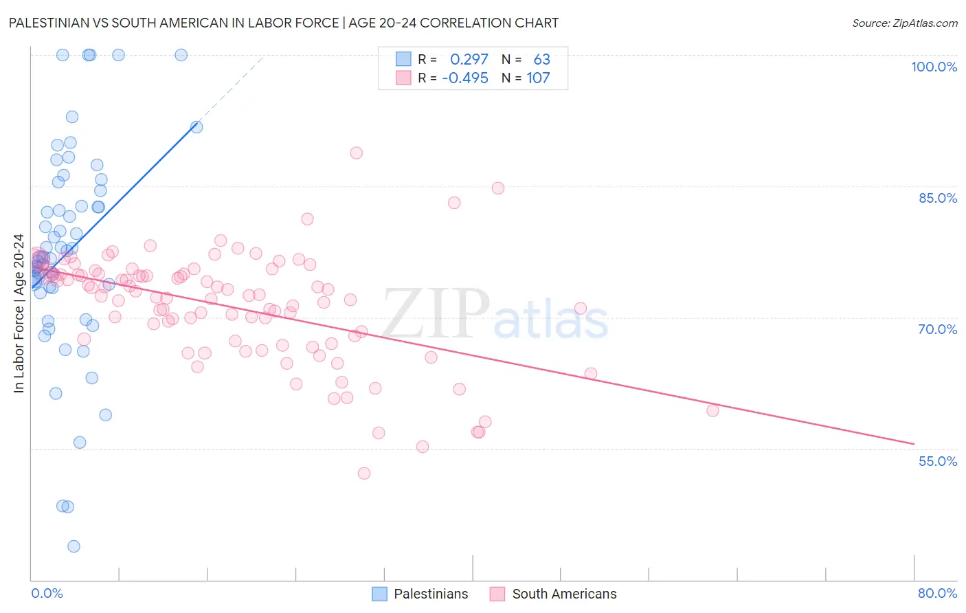 Palestinian vs South American In Labor Force | Age 20-24