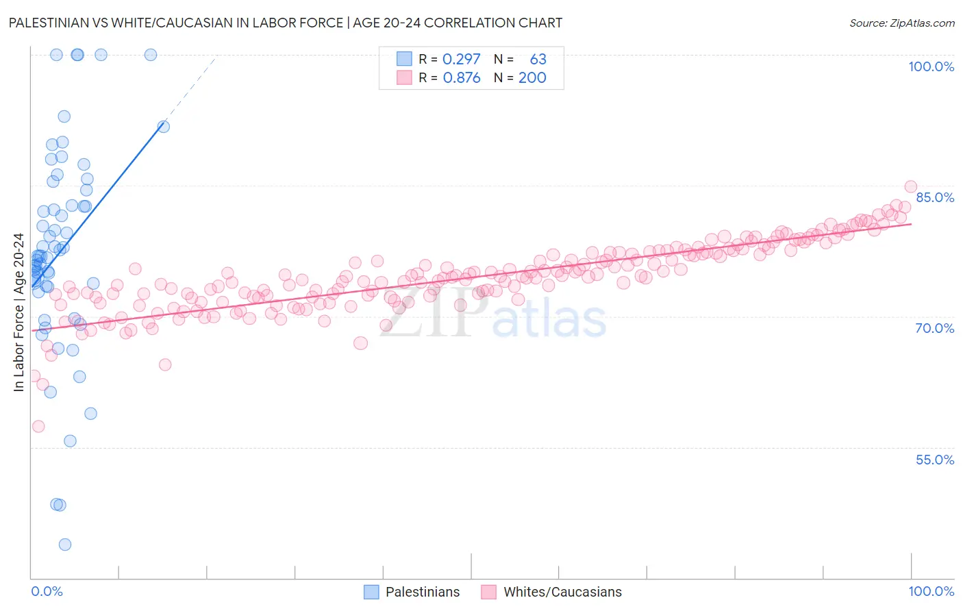Palestinian vs White/Caucasian In Labor Force | Age 20-24