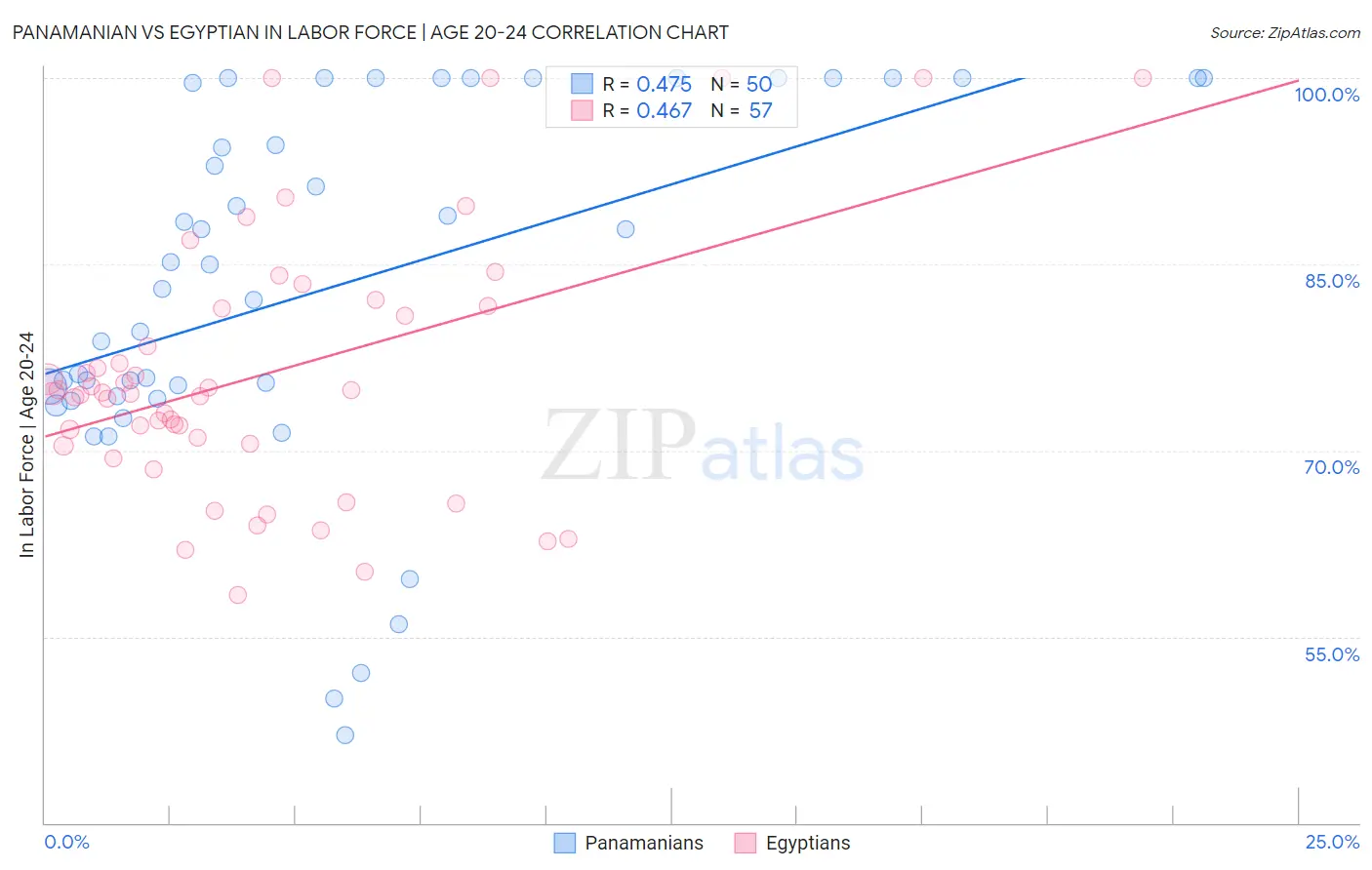Panamanian vs Egyptian In Labor Force | Age 20-24