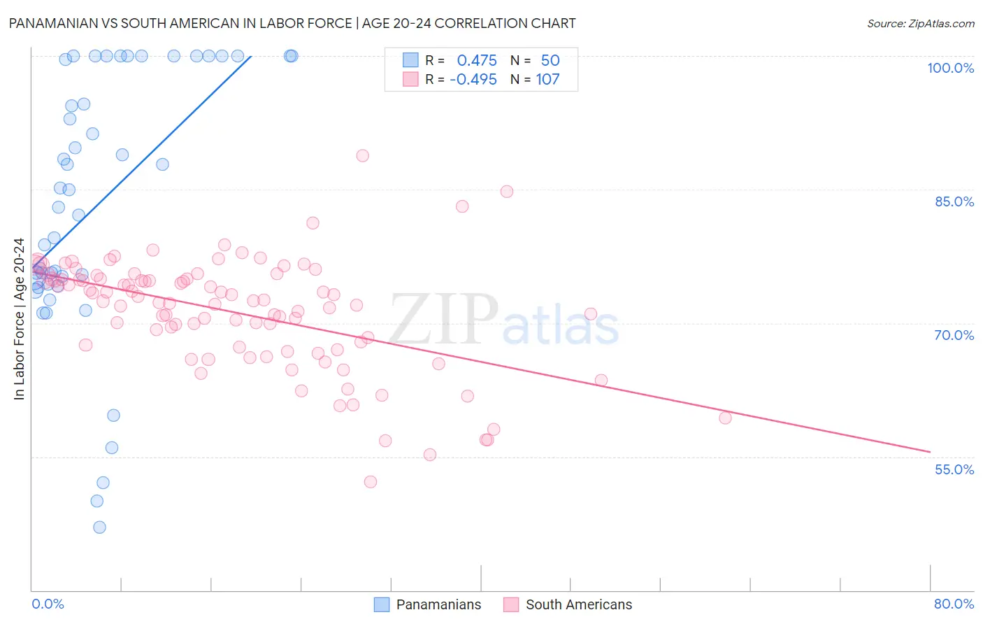 Panamanian vs South American In Labor Force | Age 20-24