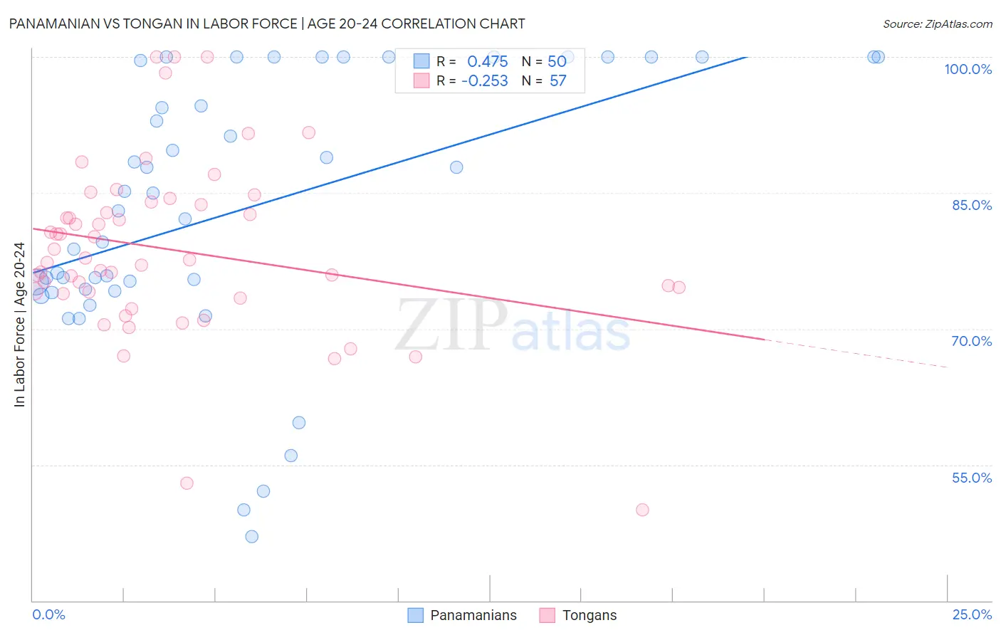 Panamanian vs Tongan In Labor Force | Age 20-24
