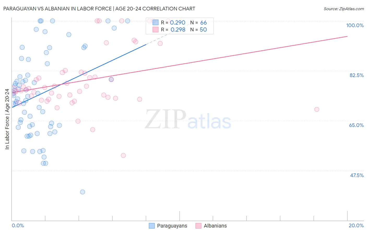 Paraguayan vs Albanian In Labor Force | Age 20-24