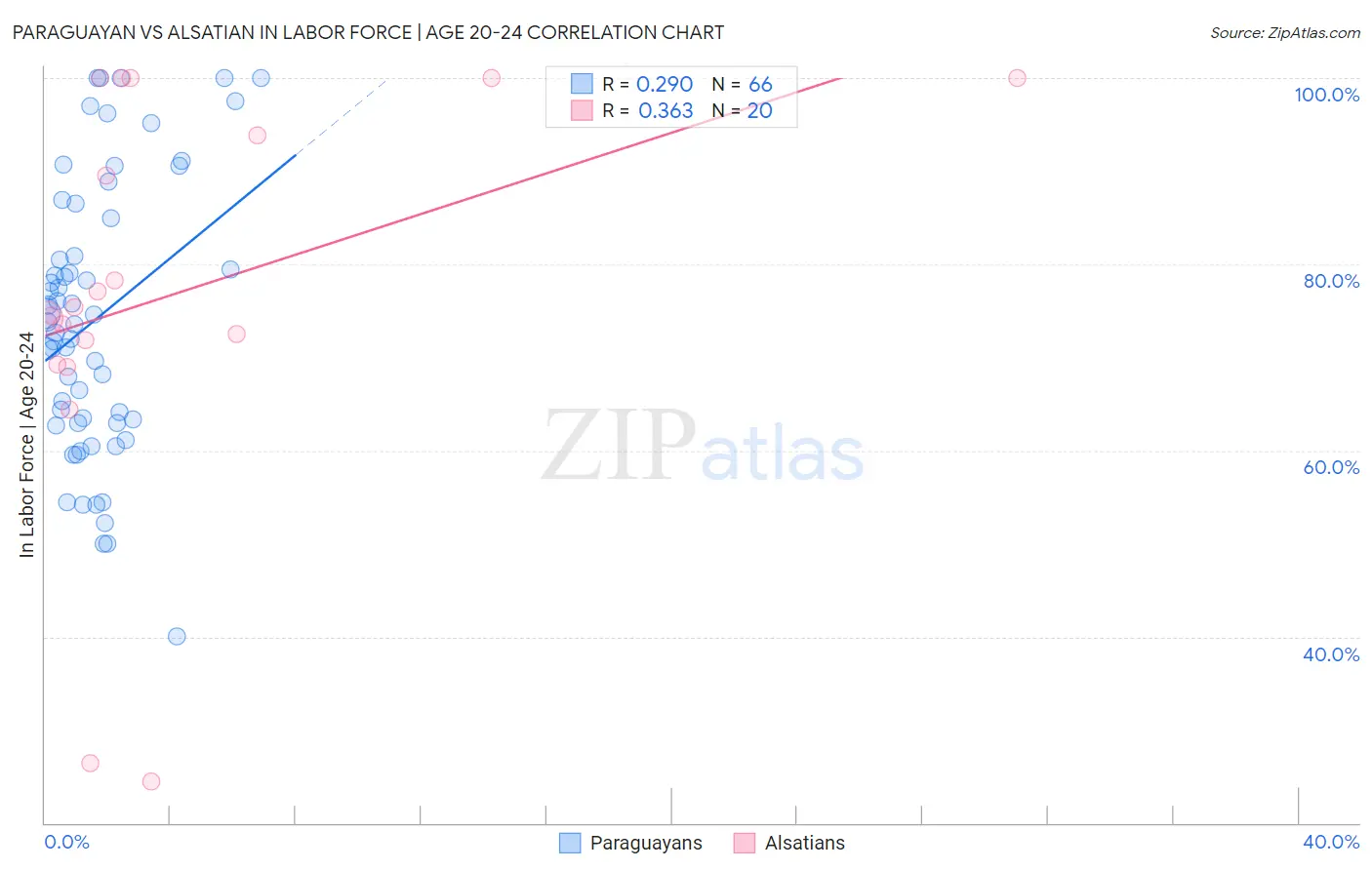Paraguayan vs Alsatian In Labor Force | Age 20-24