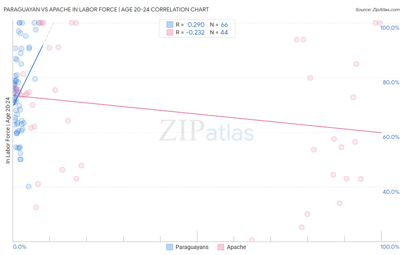 Paraguayan vs Apache In Labor Force | Age 20-24