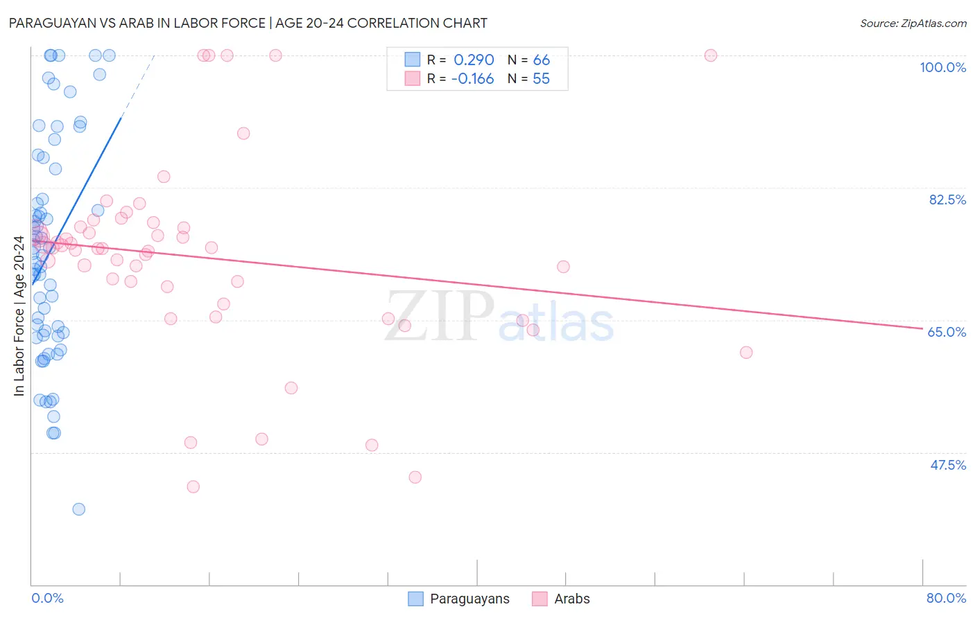 Paraguayan vs Arab In Labor Force | Age 20-24