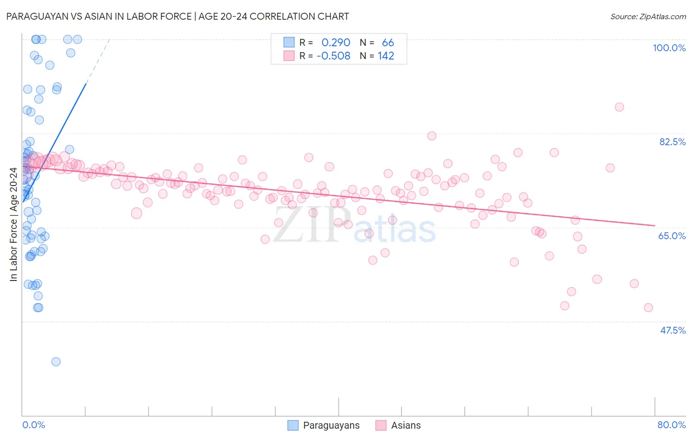 Paraguayan vs Asian In Labor Force | Age 20-24