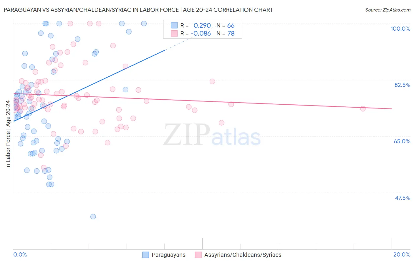 Paraguayan vs Assyrian/Chaldean/Syriac In Labor Force | Age 20-24