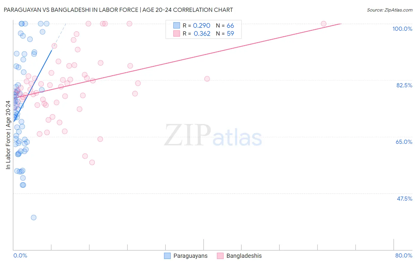 Paraguayan vs Bangladeshi In Labor Force | Age 20-24