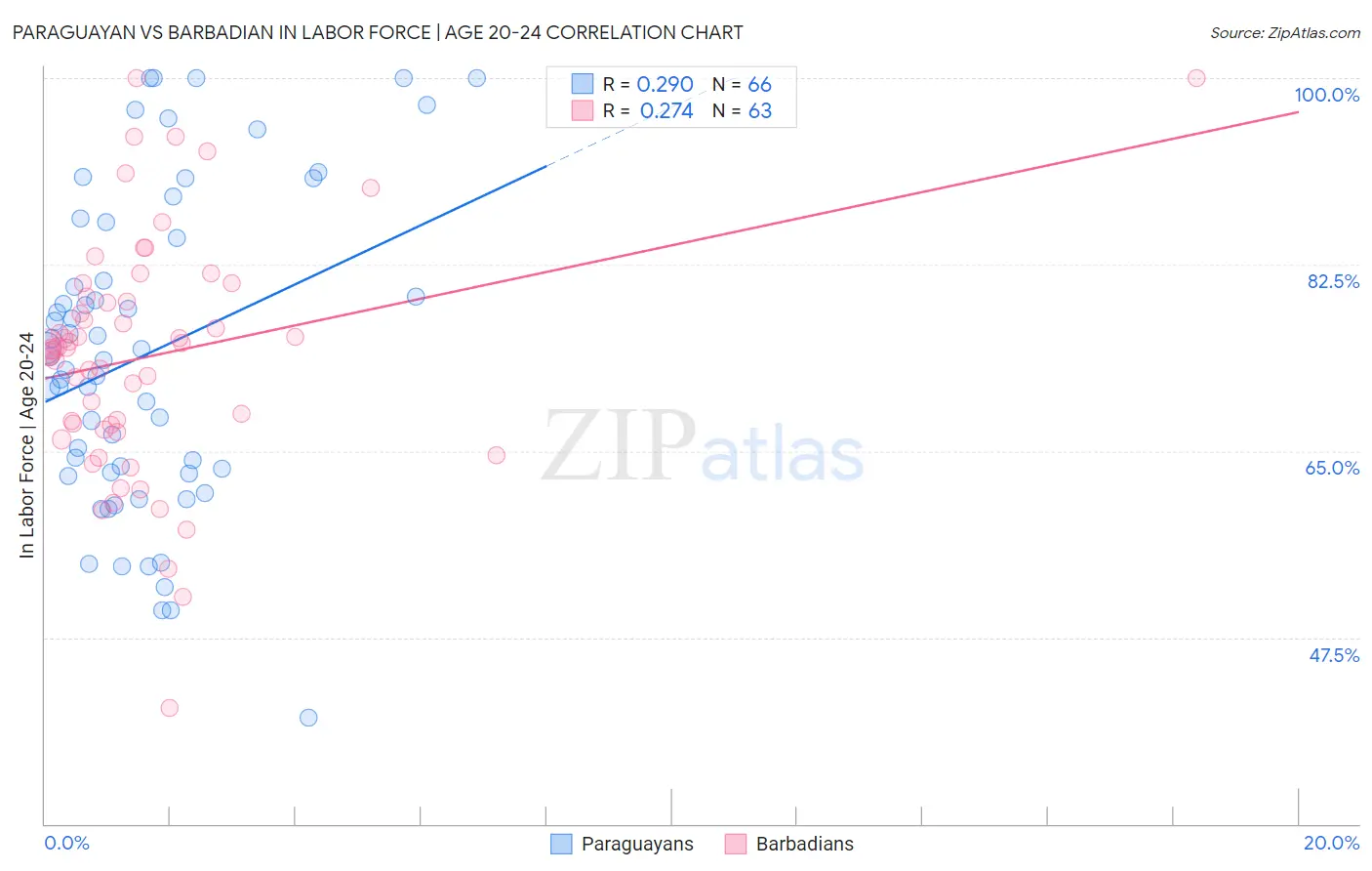 Paraguayan vs Barbadian In Labor Force | Age 20-24