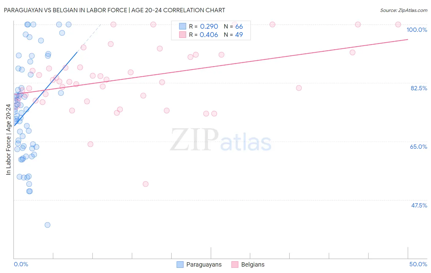 Paraguayan vs Belgian In Labor Force | Age 20-24