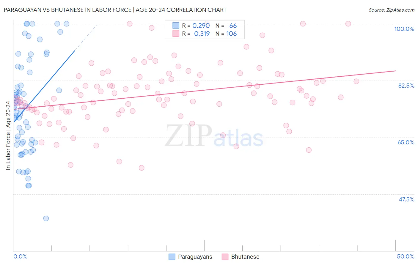Paraguayan vs Bhutanese In Labor Force | Age 20-24