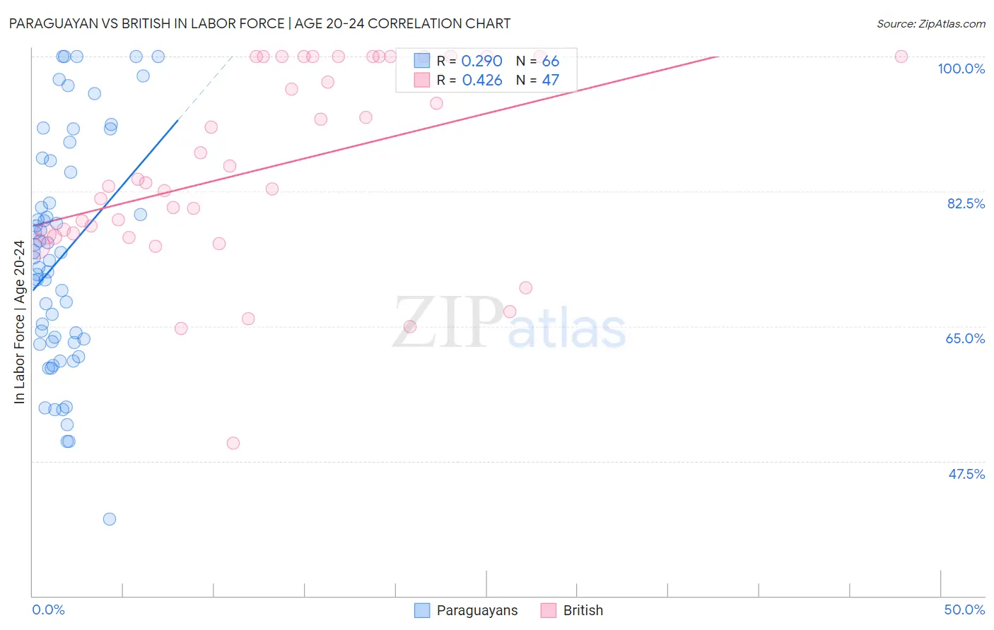 Paraguayan vs British In Labor Force | Age 20-24