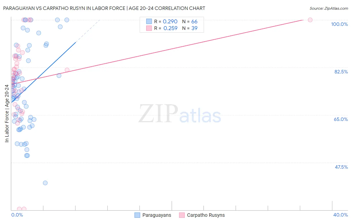 Paraguayan vs Carpatho Rusyn In Labor Force | Age 20-24