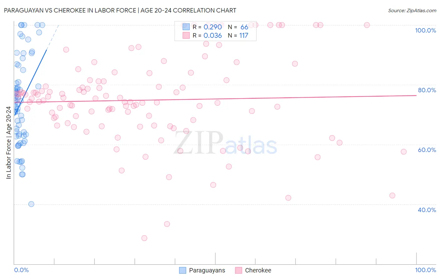 Paraguayan vs Cherokee In Labor Force | Age 20-24