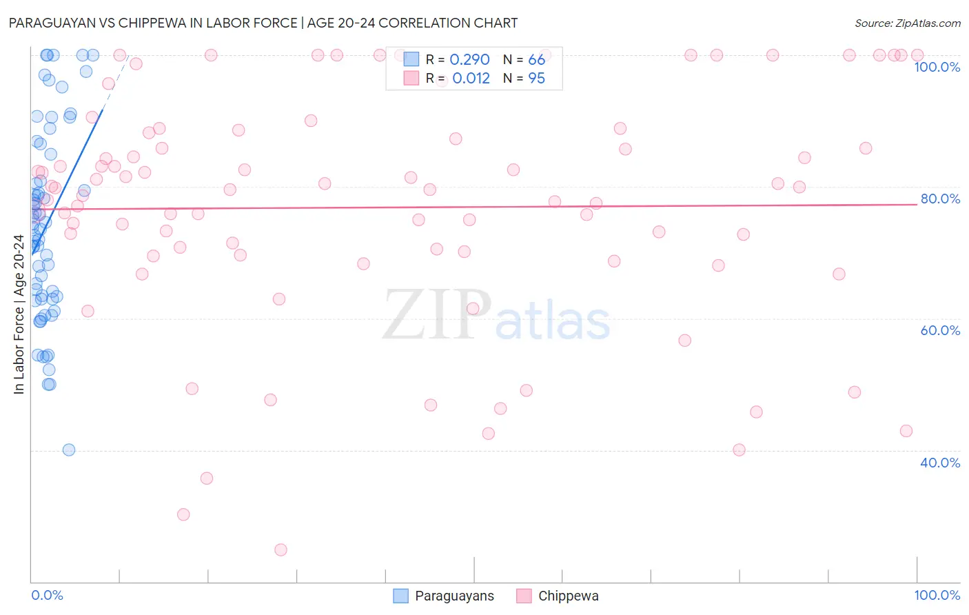 Paraguayan vs Chippewa In Labor Force | Age 20-24
