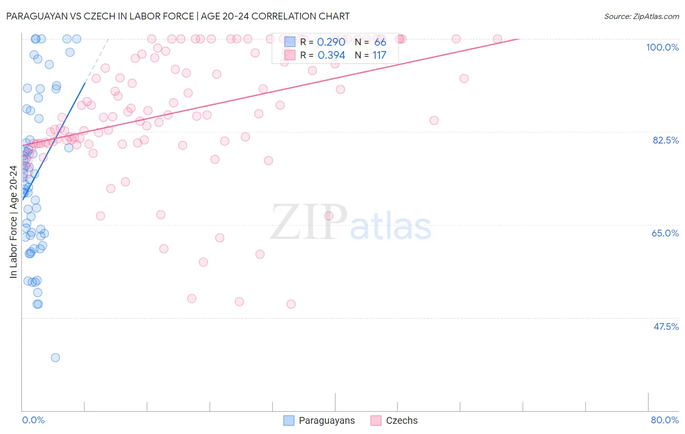 Paraguayan vs Czech In Labor Force | Age 20-24
