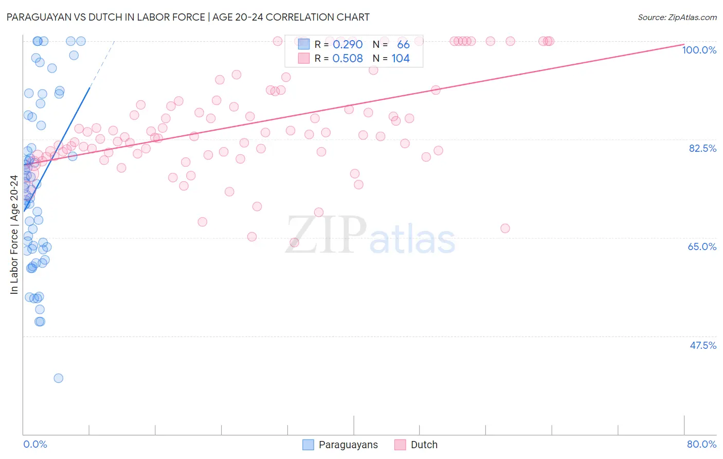 Paraguayan vs Dutch In Labor Force | Age 20-24