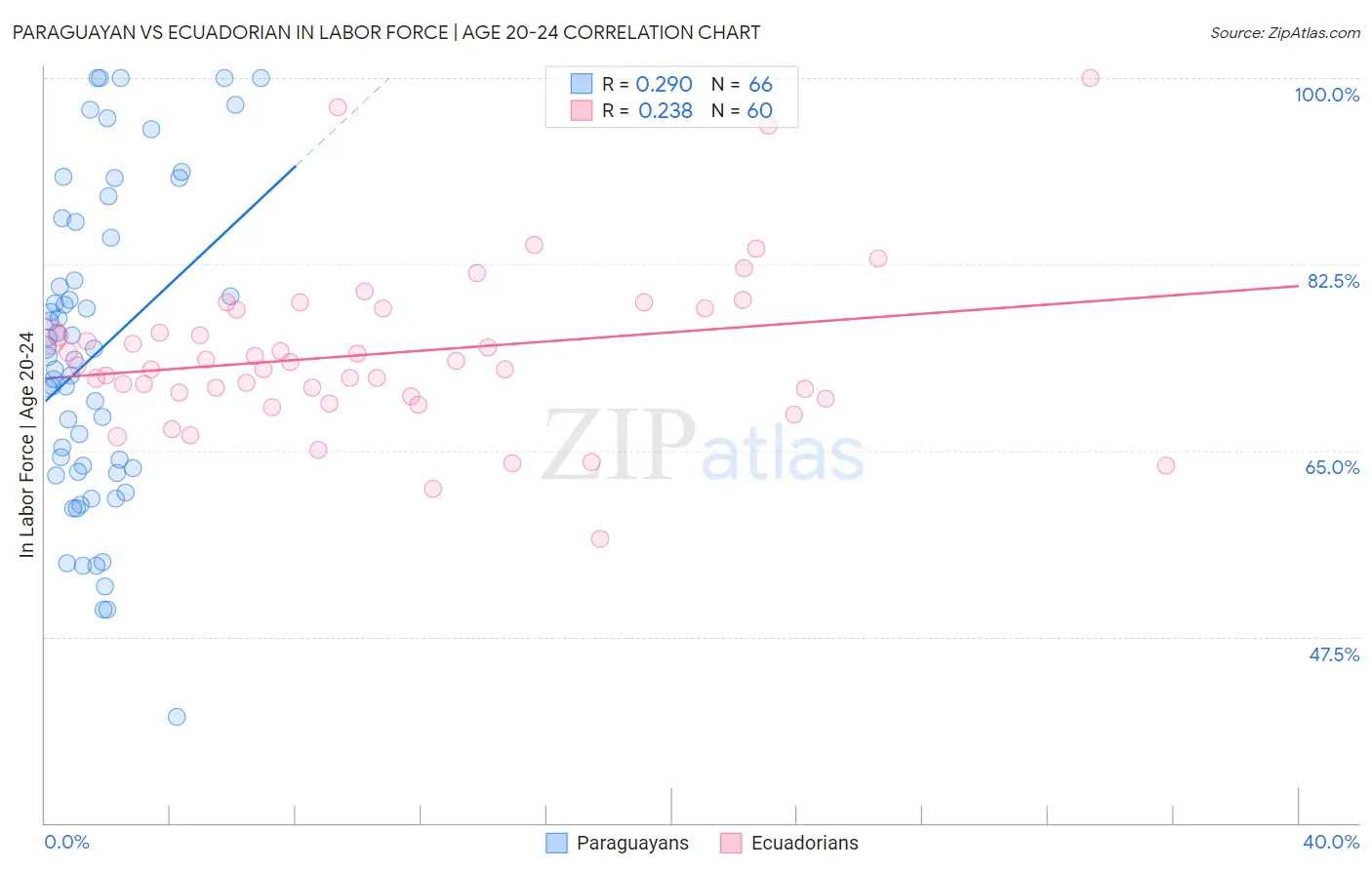 Paraguayan vs Ecuadorian In Labor Force | Age 20-24