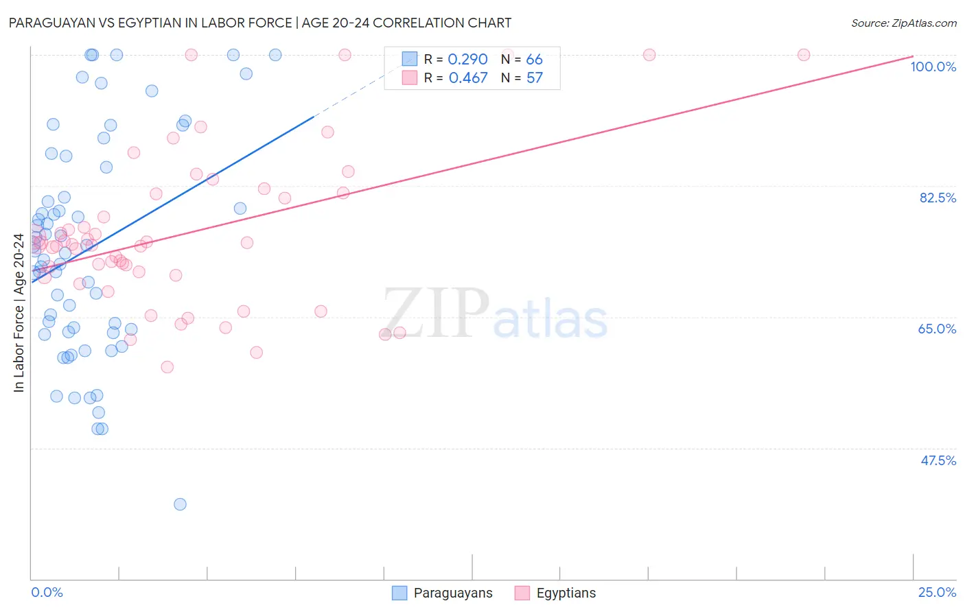 Paraguayan vs Egyptian In Labor Force | Age 20-24