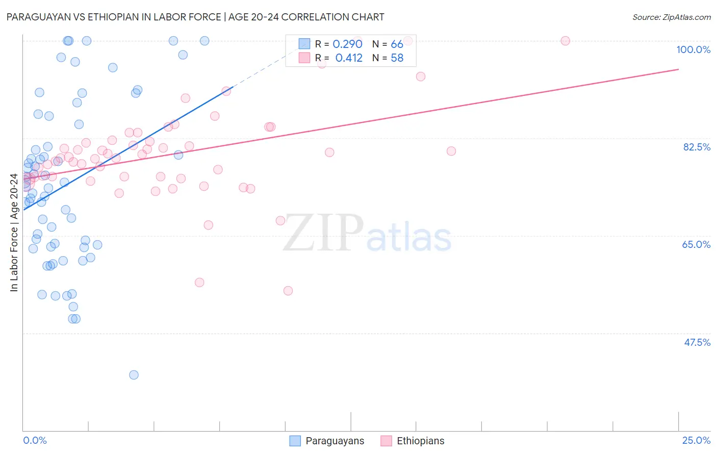 Paraguayan vs Ethiopian In Labor Force | Age 20-24