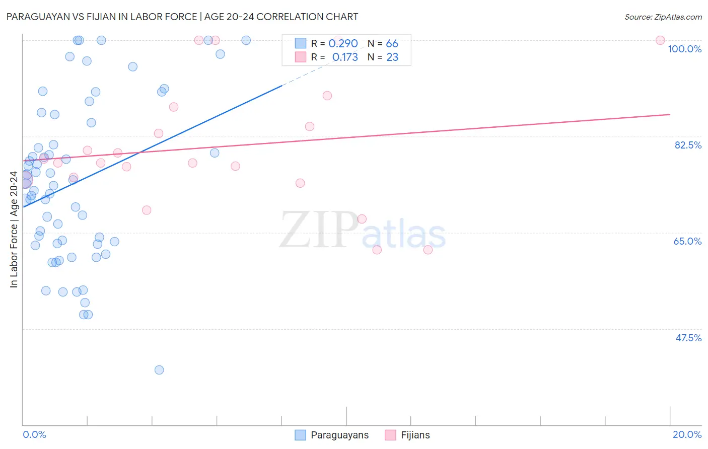 Paraguayan vs Fijian In Labor Force | Age 20-24