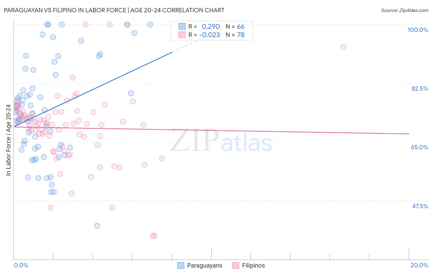 Paraguayan vs Filipino In Labor Force | Age 20-24