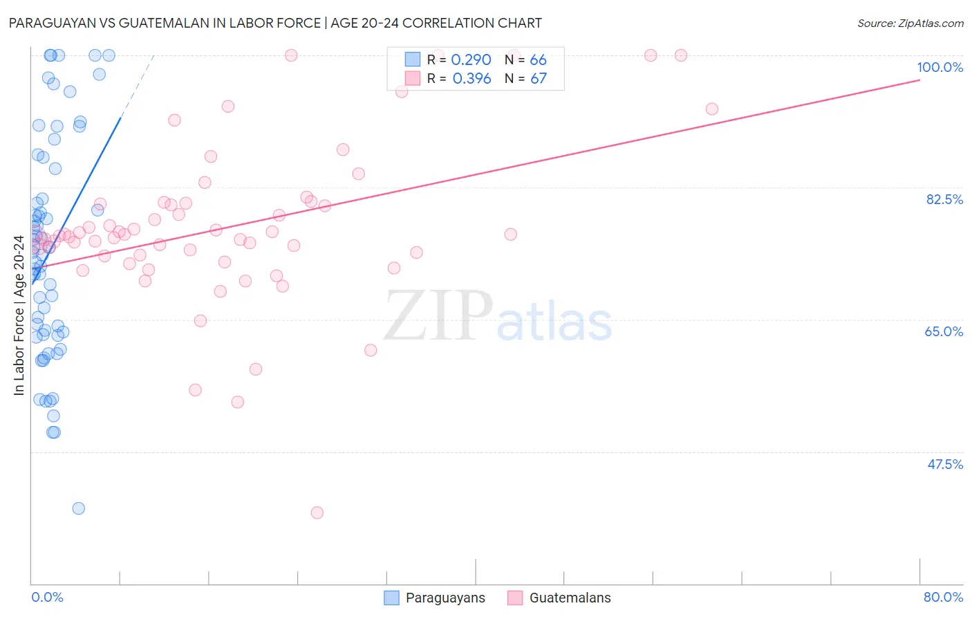 Paraguayan vs Guatemalan In Labor Force | Age 20-24