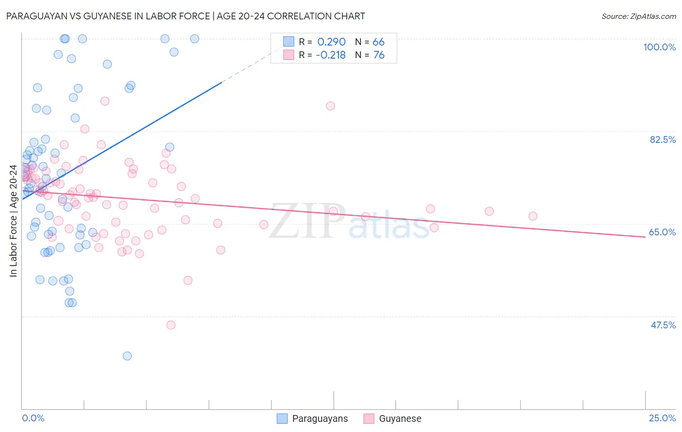 Paraguayan vs Guyanese In Labor Force | Age 20-24
