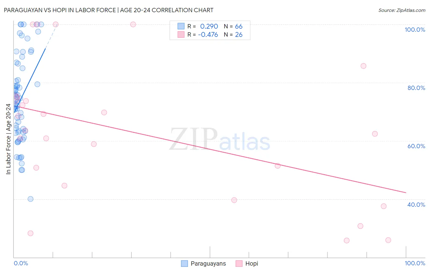 Paraguayan vs Hopi In Labor Force | Age 20-24