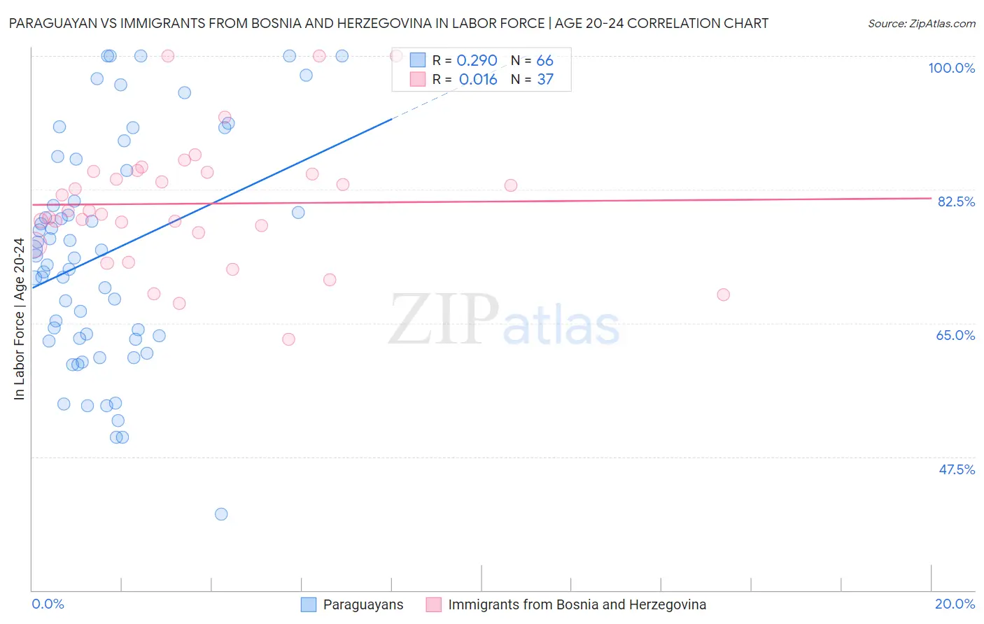 Paraguayan vs Immigrants from Bosnia and Herzegovina In Labor Force | Age 20-24