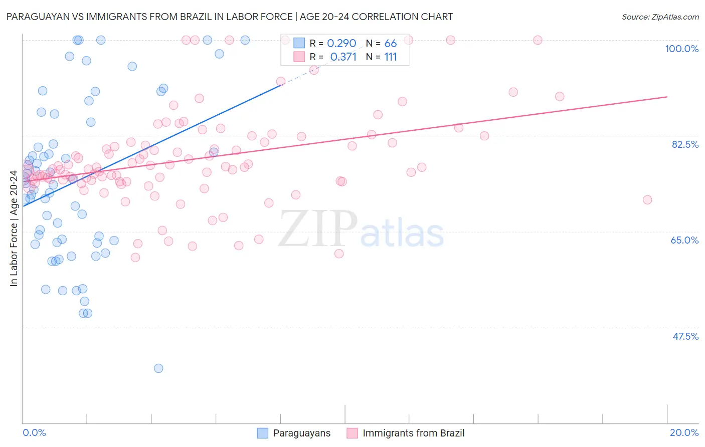 Paraguayan vs Immigrants from Brazil In Labor Force | Age 20-24