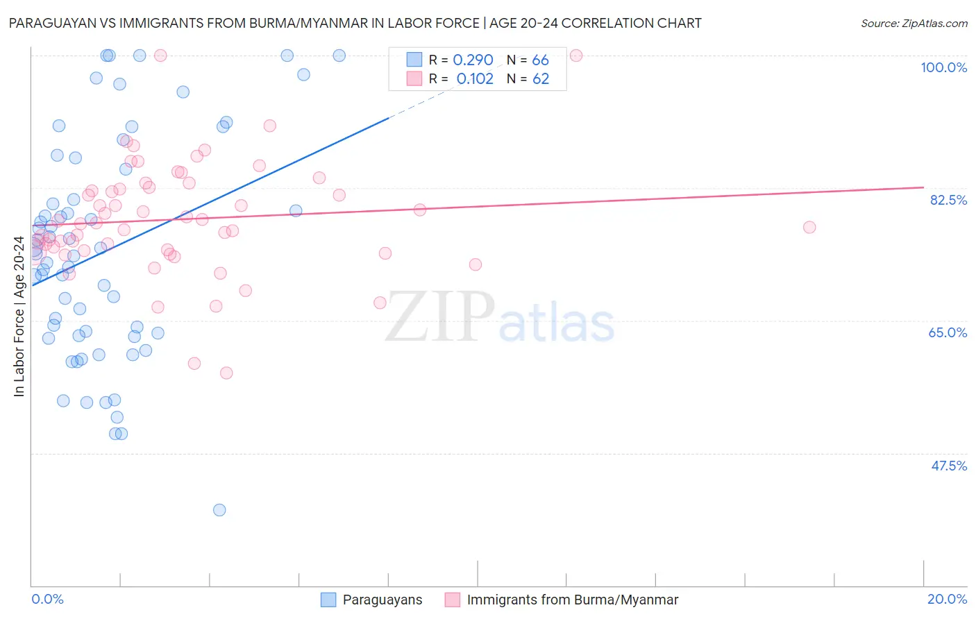 Paraguayan vs Immigrants from Burma/Myanmar In Labor Force | Age 20-24