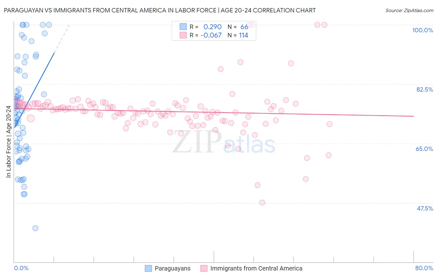 Paraguayan vs Immigrants from Central America In Labor Force | Age 20-24