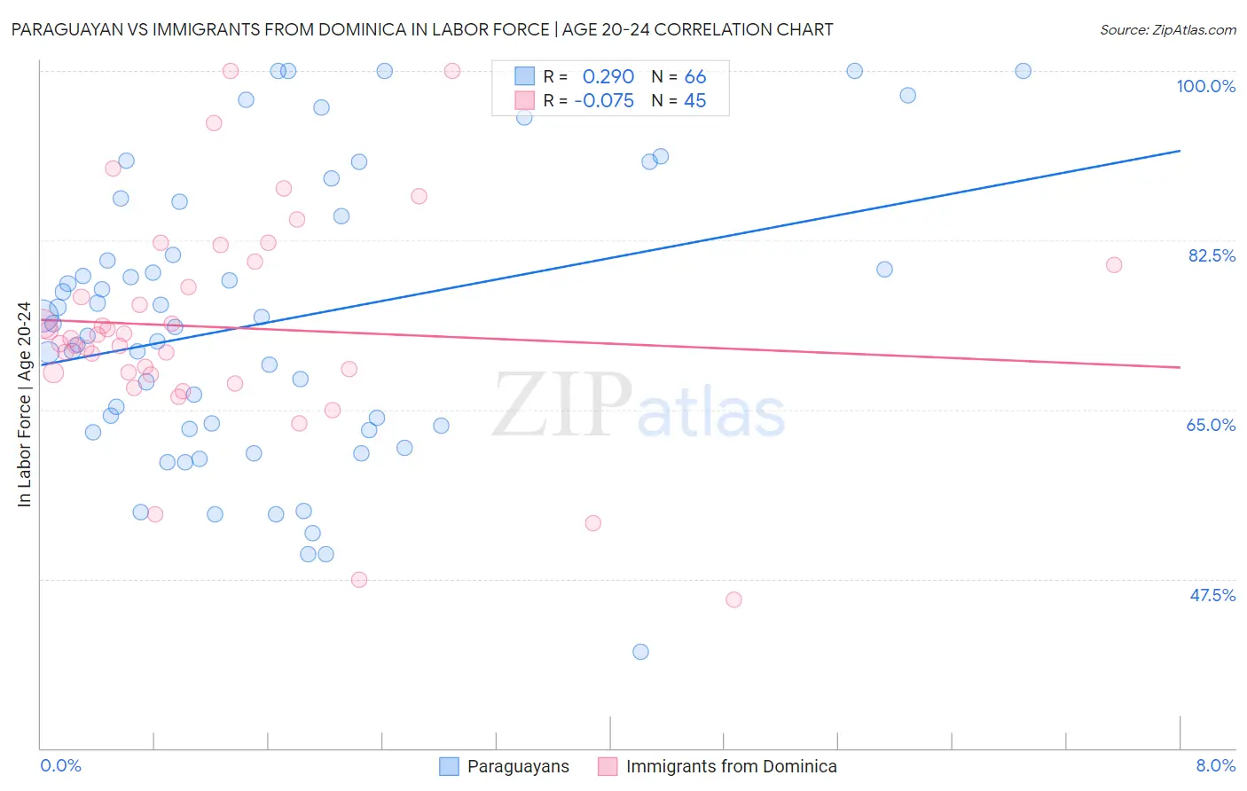 Paraguayan vs Immigrants from Dominica In Labor Force | Age 20-24
