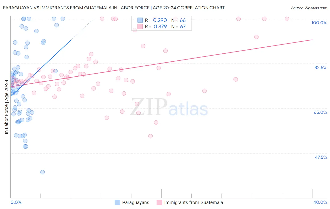 Paraguayan vs Immigrants from Guatemala In Labor Force | Age 20-24