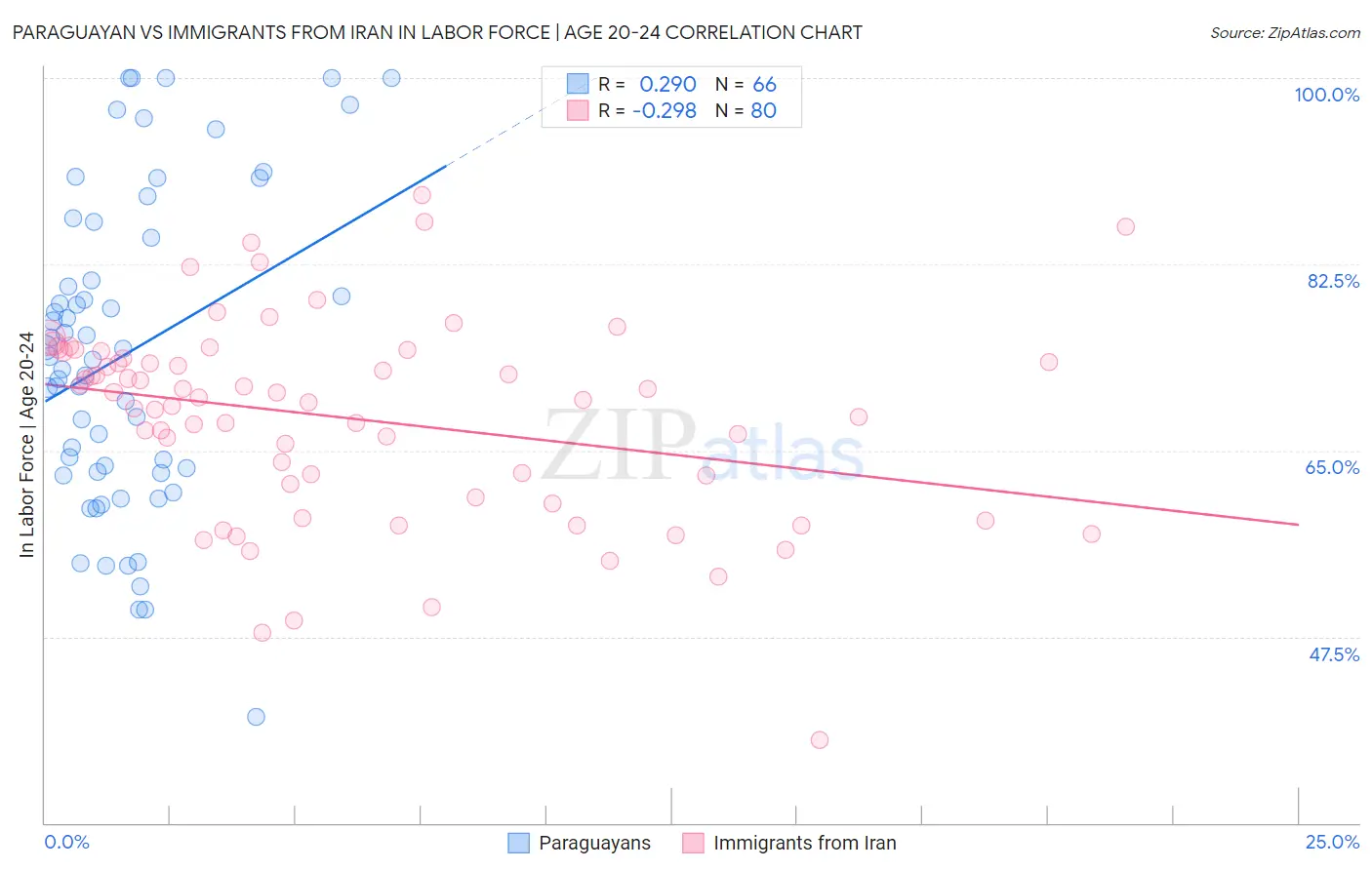 Paraguayan vs Immigrants from Iran In Labor Force | Age 20-24
