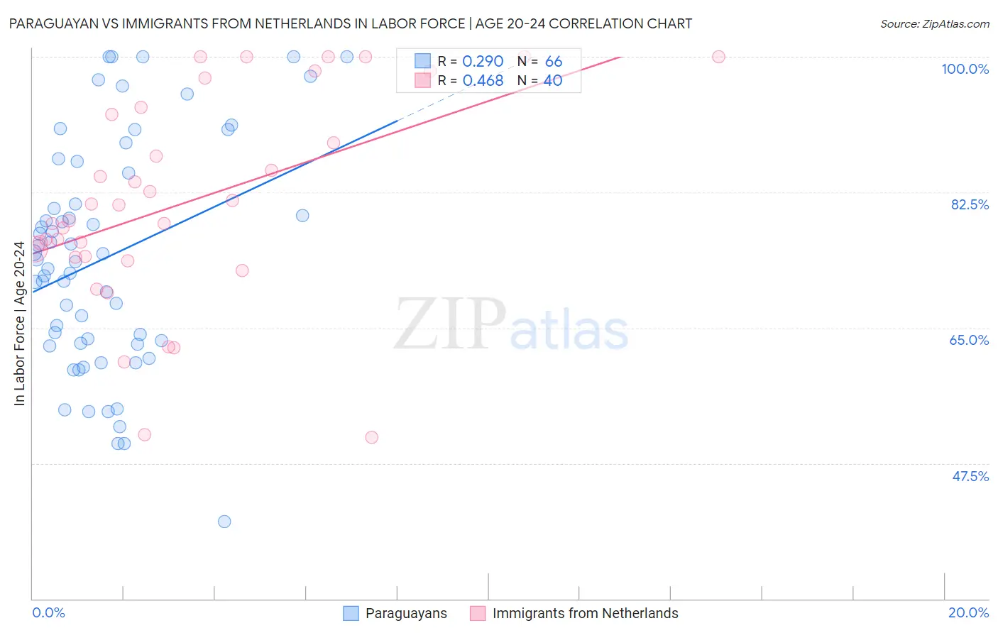 Paraguayan vs Immigrants from Netherlands In Labor Force | Age 20-24