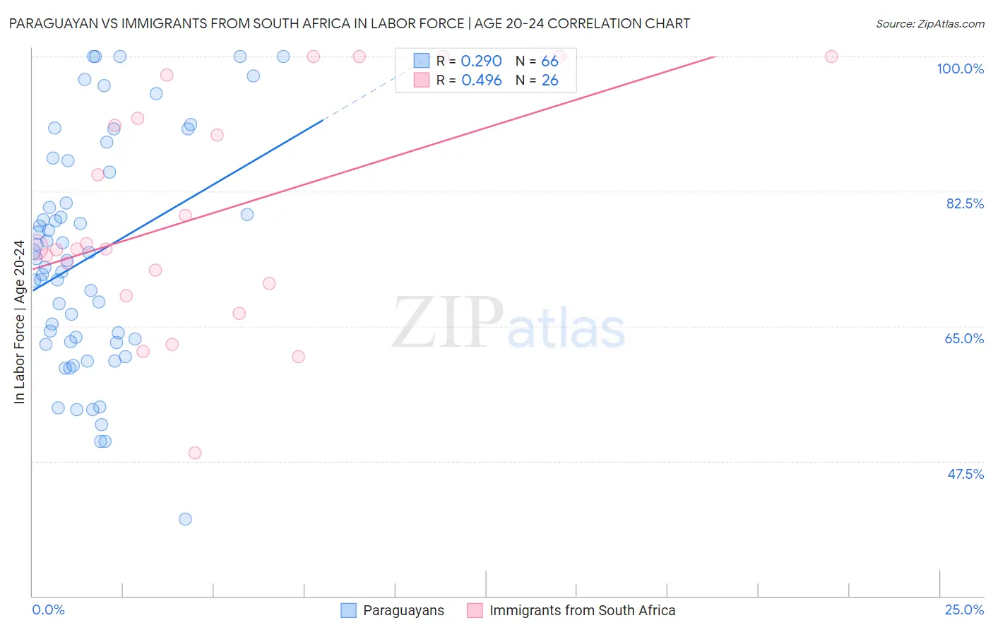 Paraguayan vs Immigrants from South Africa In Labor Force | Age 20-24
