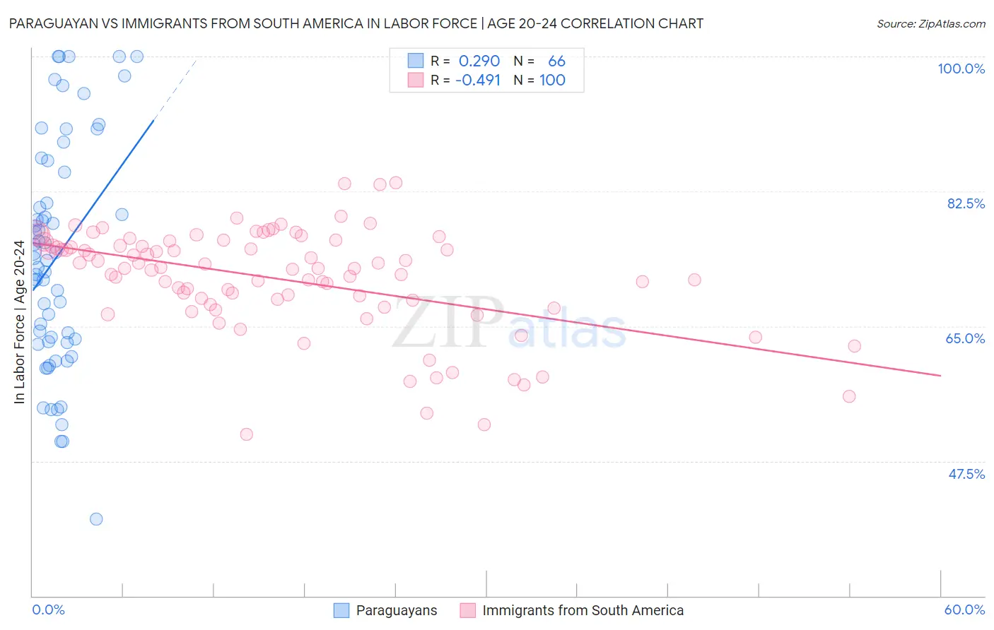 Paraguayan vs Immigrants from South America In Labor Force | Age 20-24