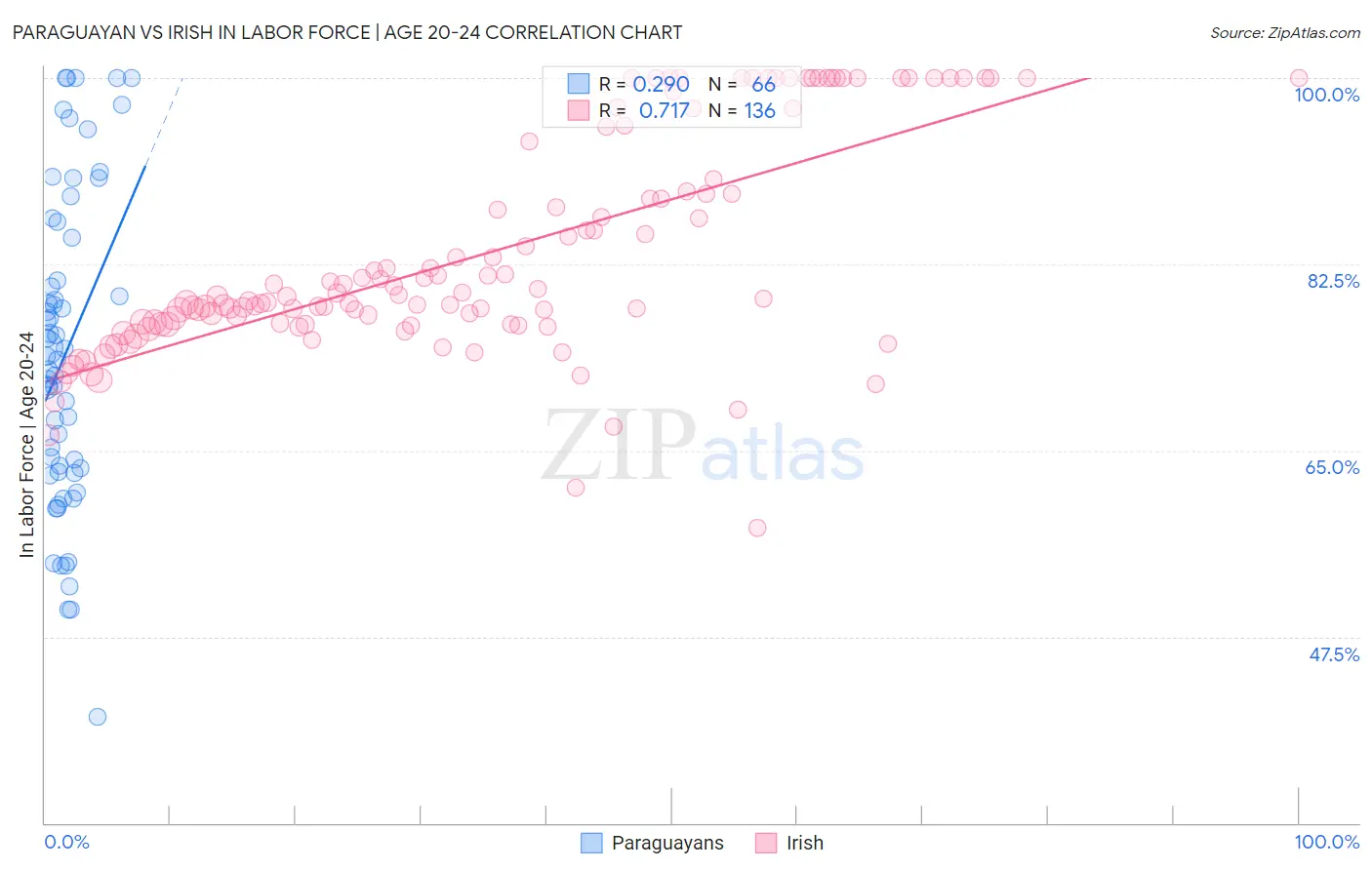 Paraguayan vs Irish In Labor Force | Age 20-24