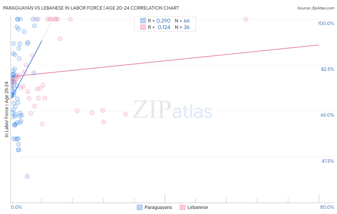 Paraguayan vs Lebanese In Labor Force | Age 20-24