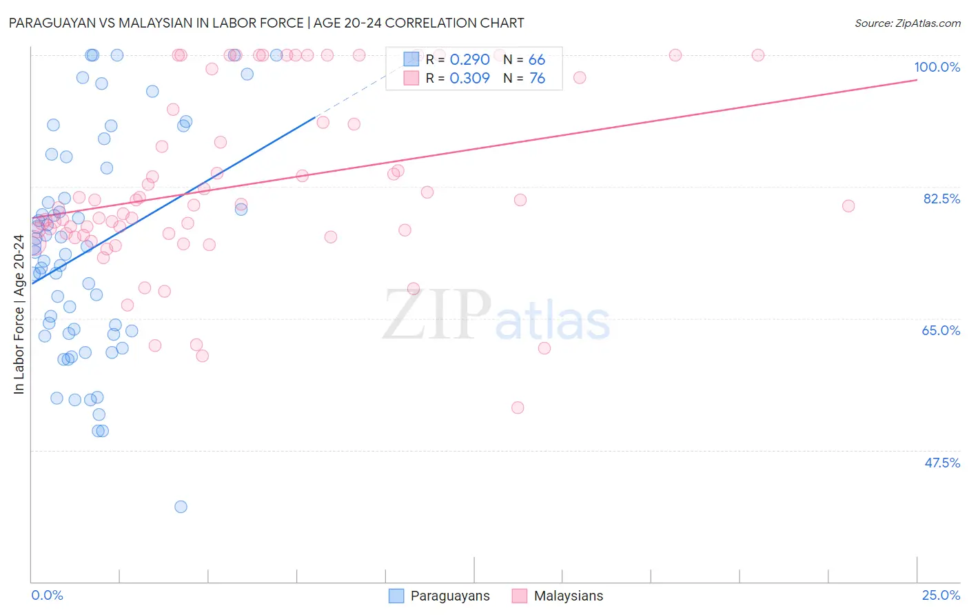 Paraguayan vs Malaysian In Labor Force | Age 20-24