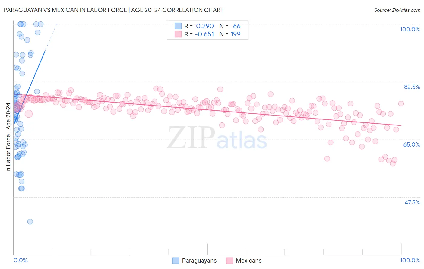 Paraguayan vs Mexican In Labor Force | Age 20-24