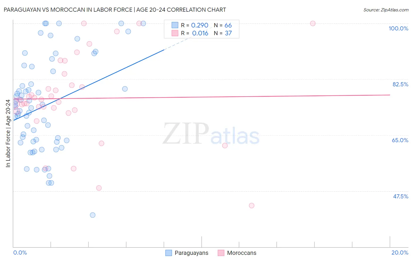 Paraguayan vs Moroccan In Labor Force | Age 20-24