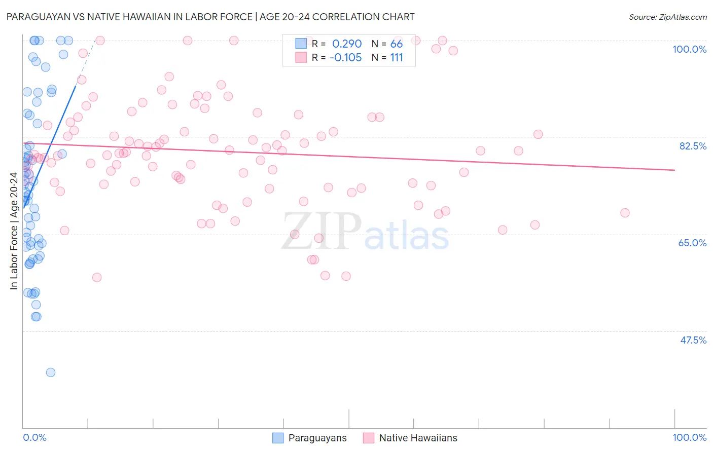 Paraguayan vs Native Hawaiian In Labor Force | Age 20-24