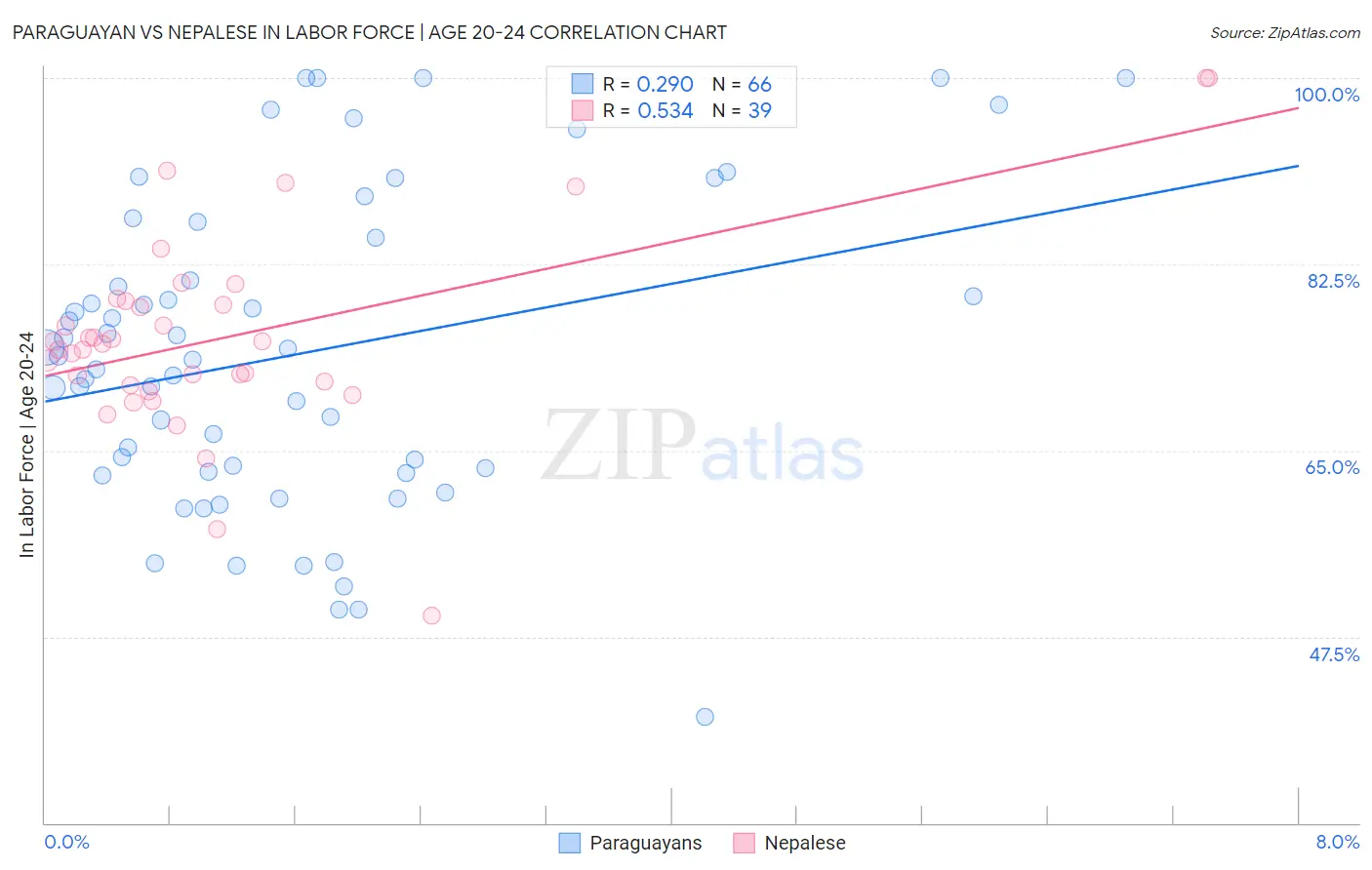 Paraguayan vs Nepalese In Labor Force | Age 20-24