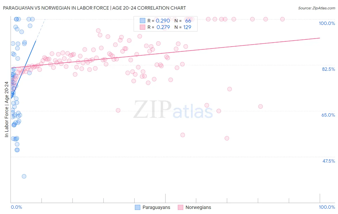 Paraguayan vs Norwegian In Labor Force | Age 20-24