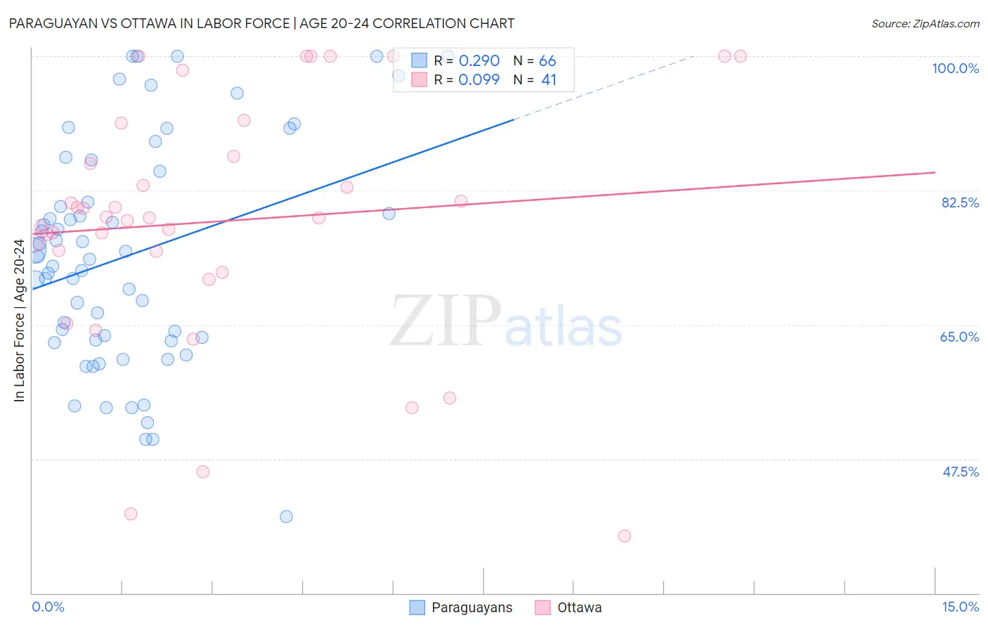 Paraguayan vs Ottawa In Labor Force | Age 20-24