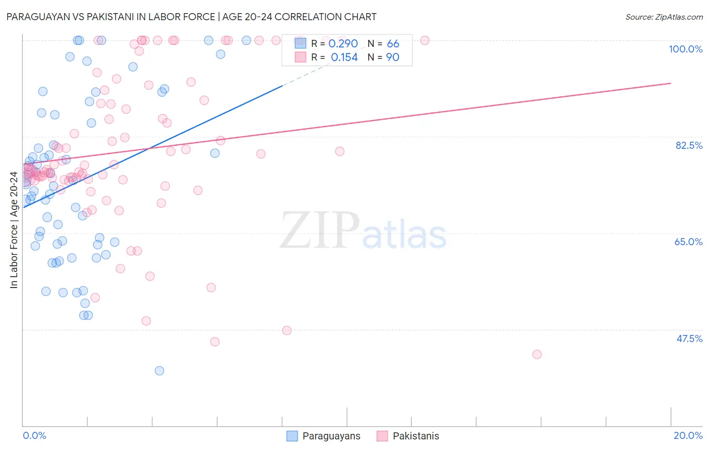 Paraguayan vs Pakistani In Labor Force | Age 20-24